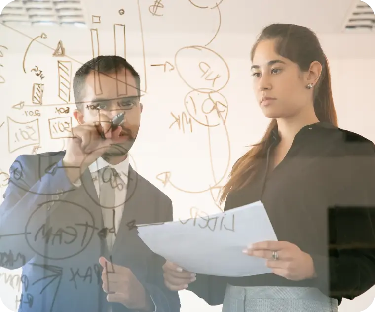 Investigación y calificación: